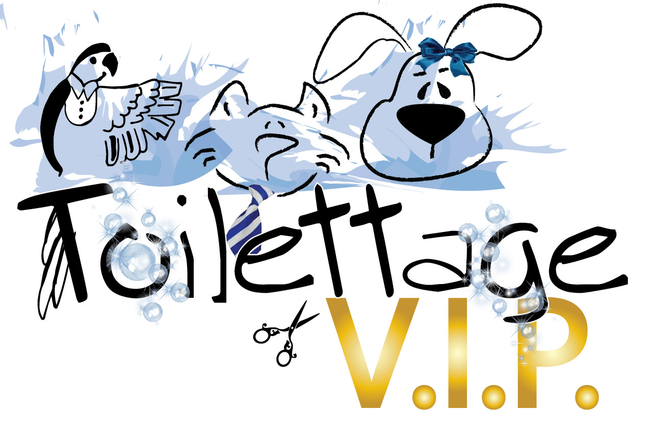 Service de toilettage VIP